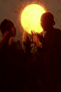 Color Purple, The